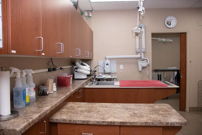 Downtown Veterinary Clinic 5