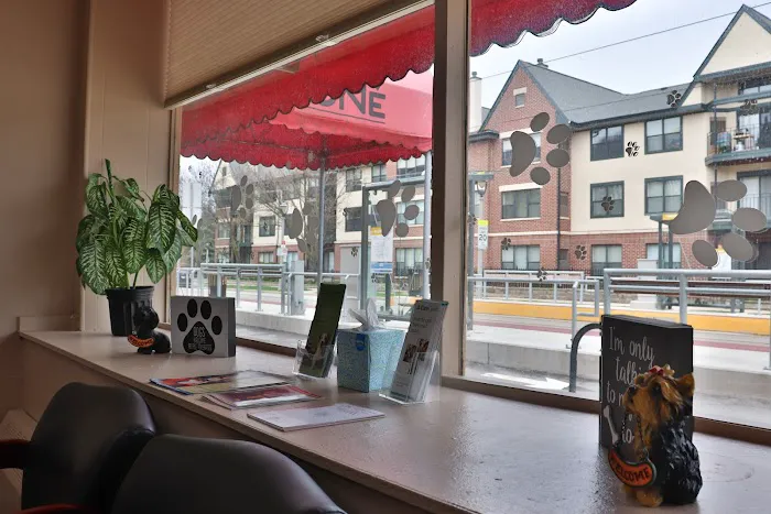Downtown Veterinary Clinic 3