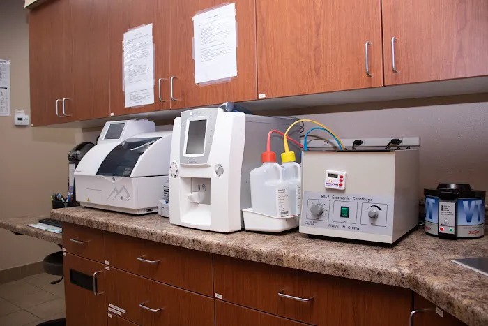 Downtown Veterinary Clinic 9