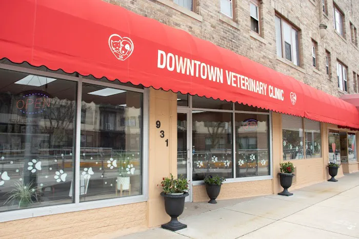 Downtown Veterinary Clinic 2