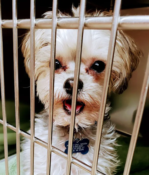 Milwaukee Walk In Vet Clinic 12