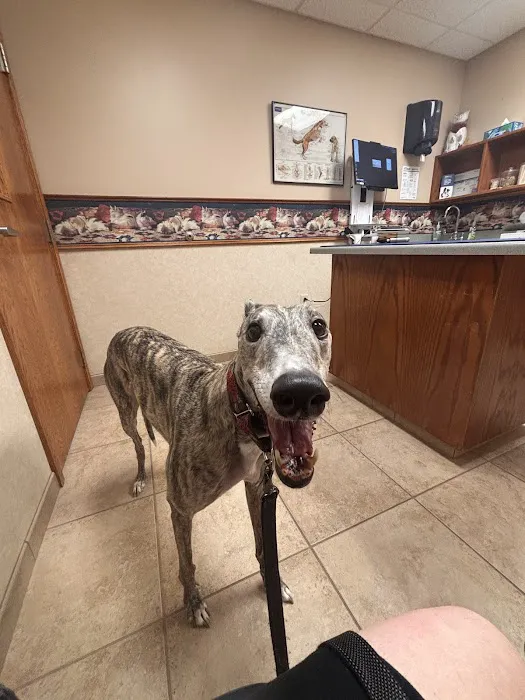 Small Animal Hospital 12