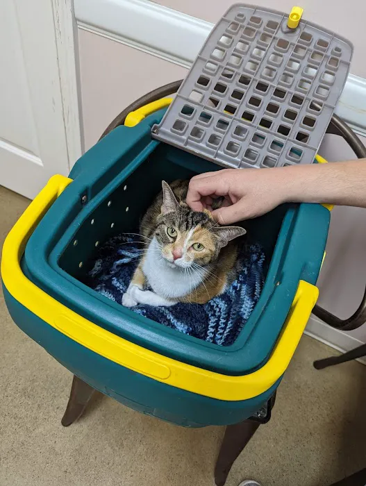 Community Animal Hospital, LLC 6