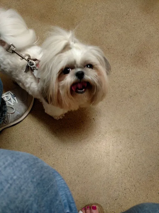 Community Animal Hospital, LLC 2