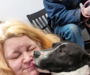 Lake City Animal Health & Wellness Center