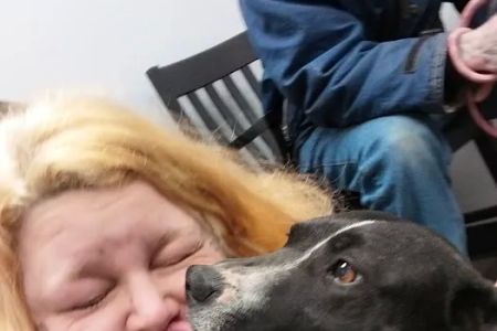 Lake City Animal Health & Wellness Center