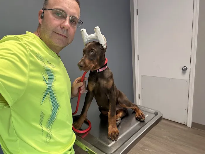 Animal Medical Center 12