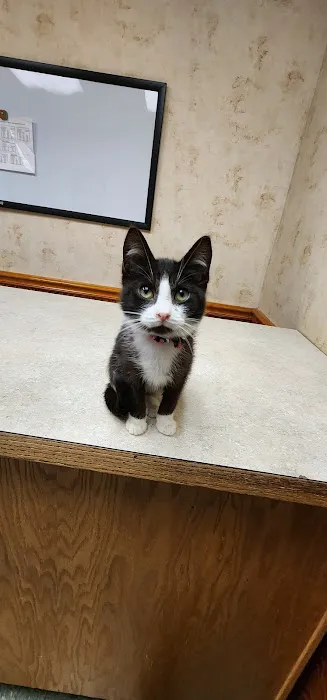 Ithaca Animal Hospital 6