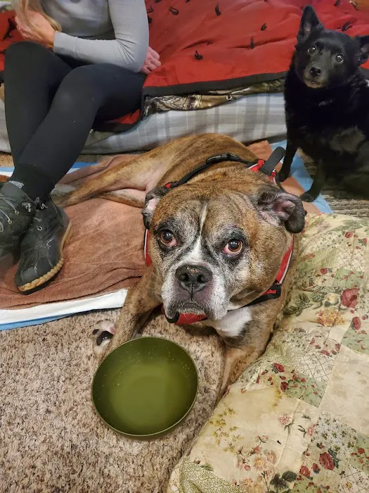 Ithaca Animal Hospital 1