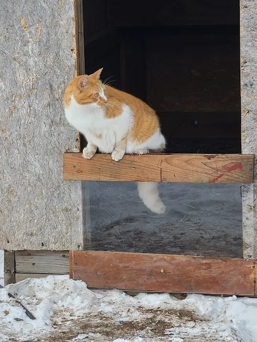 Village Veterinary Clinic 7