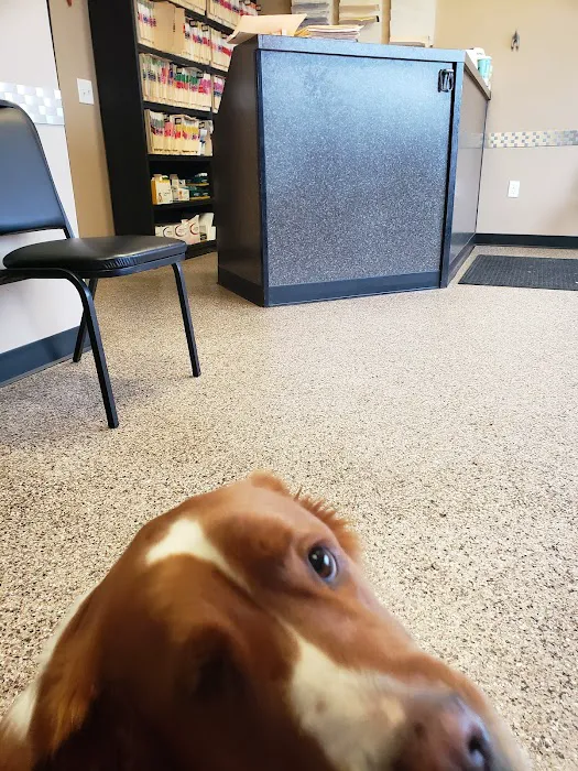VetMED Veterinary Clinic 7