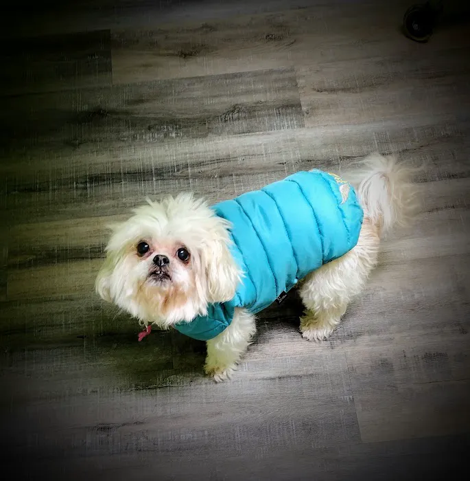 River Rock Animal Hospital 7