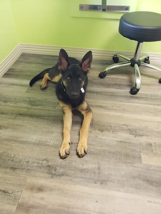 River Rock Animal Hospital 9