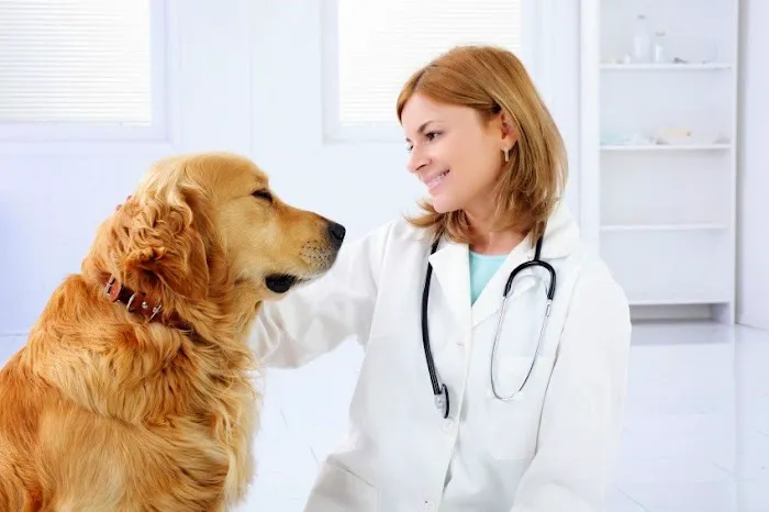 Midland Animal Clinic 2