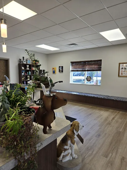 Animal Medical Center 6