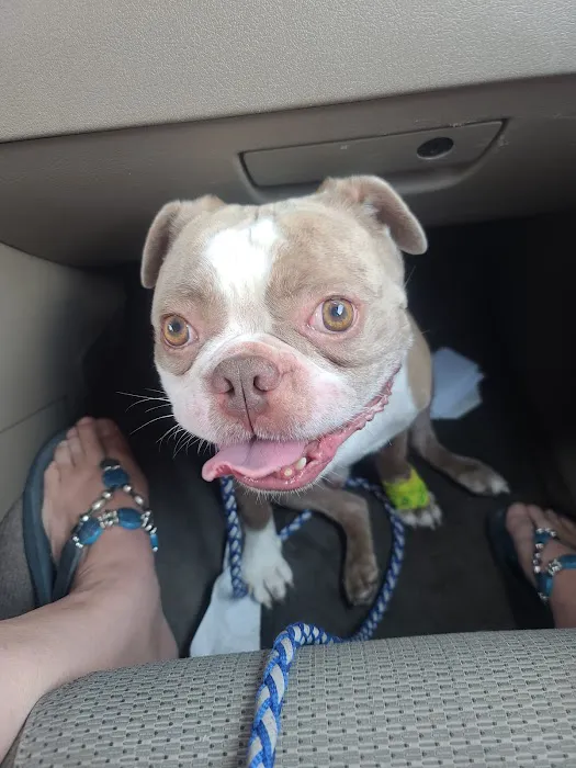 Animal Medical Center 2