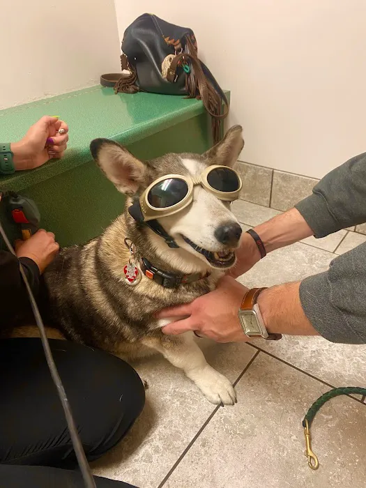 Countryside Animal Health Center 8