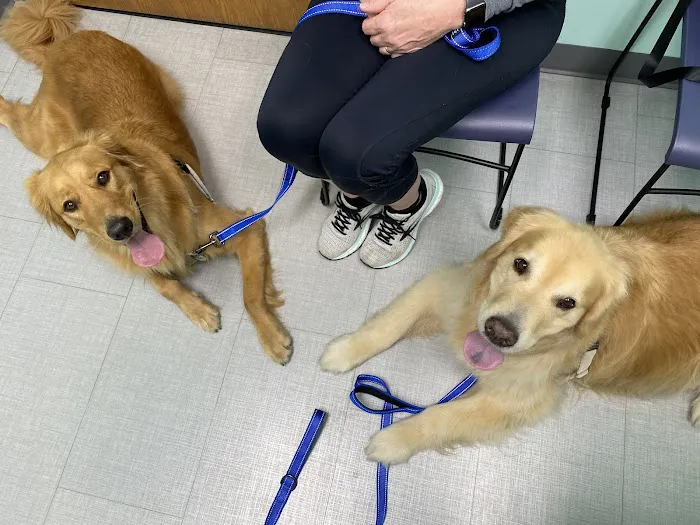 New Buffalo Animal Hospital, Inc. 2