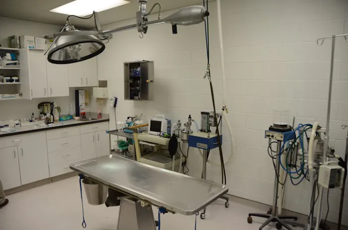 New Buffalo Animal Hospital, Inc. 5