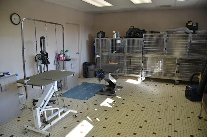 New Buffalo Animal Hospital, Inc. 9