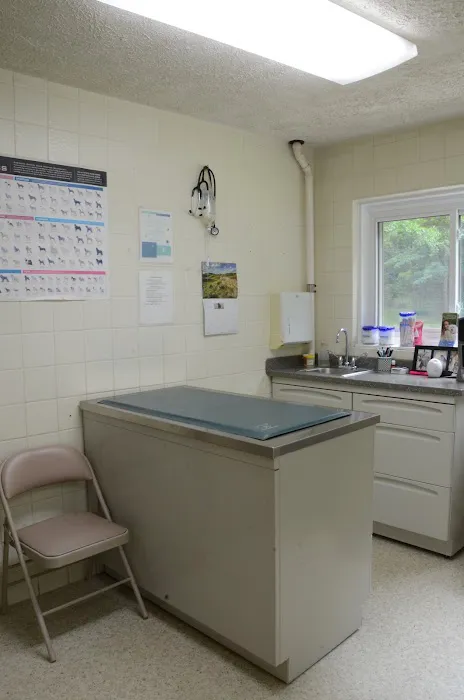Animal Wellness Clinic 3