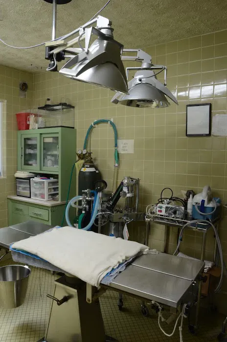 Animal Wellness Clinic 2