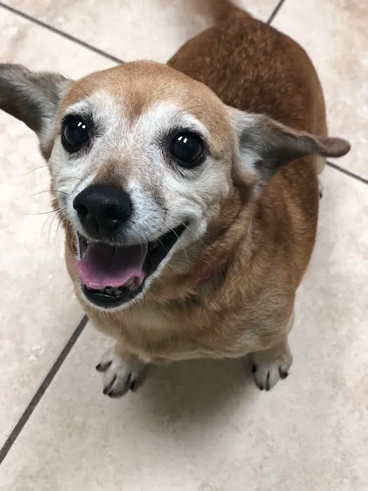 Michigan City Animal Hospital 4