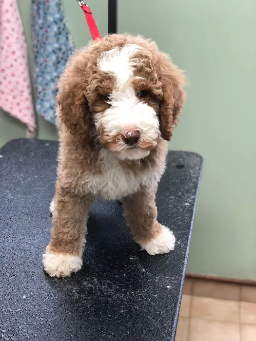 Michigan City Animal Hospital 3