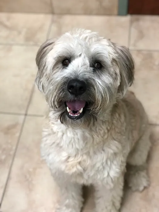 Michigan City Animal Hospital 7