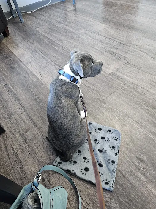 Animal Hospital of McHenry 8