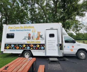 Pet Care In Motion