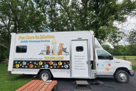 Pet Care In Motion