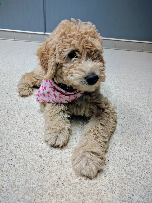 Woodstock Animal Hospital 5