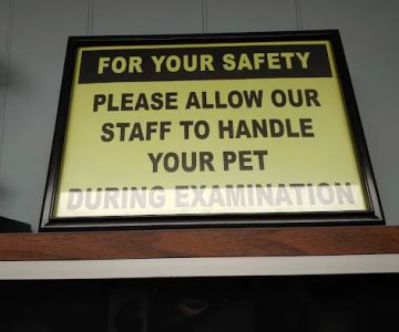 Woodstock Animal Hospital