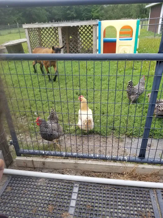 Woodstock Animal Hospital 4