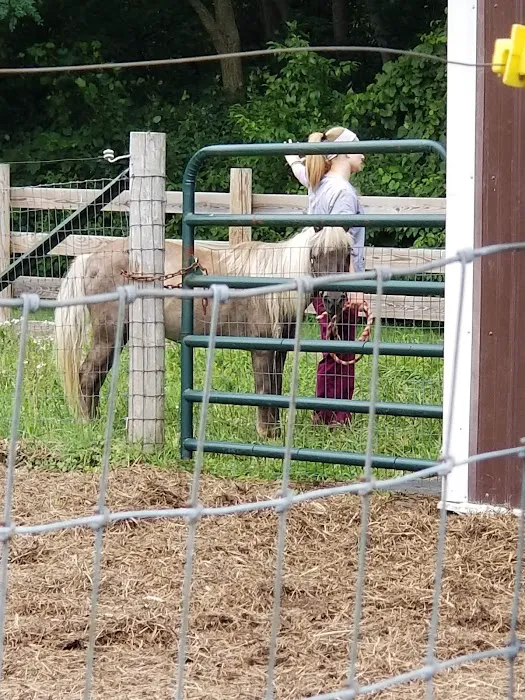 Woodstock Animal Hospital 6