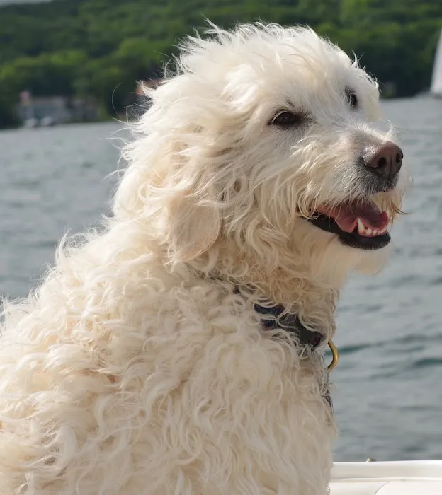 Geneva Lakes Animal Hospital 2