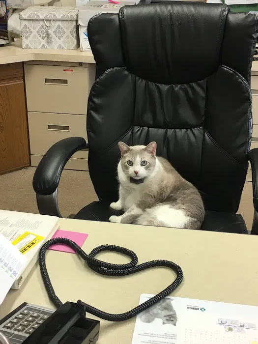 Hartland Veterinary Clinic 9
