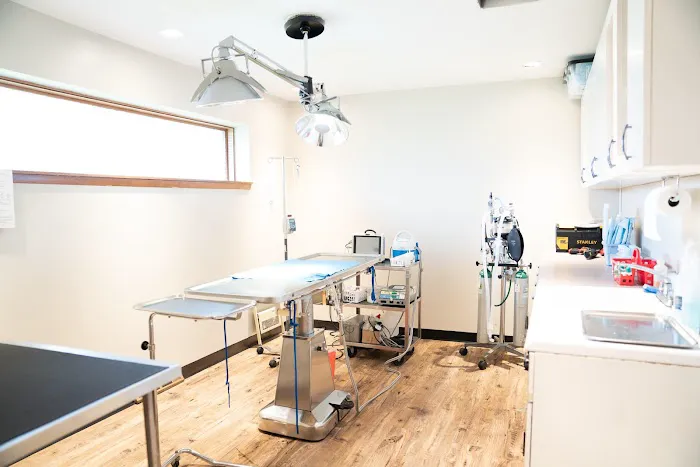 Animal Wellness Center Waukesha 9