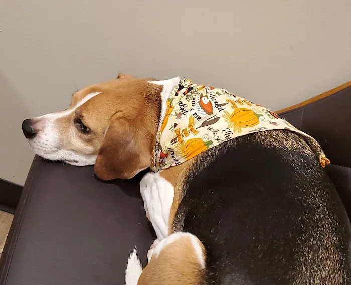 Animal Wellness Center Waukesha 8
