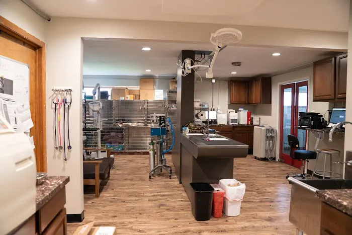 Animal Wellness Center Waukesha 7