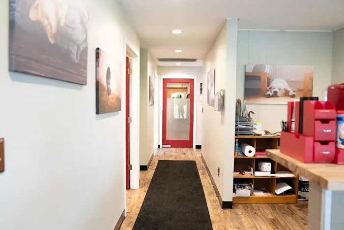 Animal Wellness Center Waukesha 5