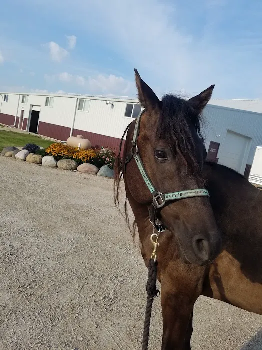 Midwest Veterinary Dental Services 12