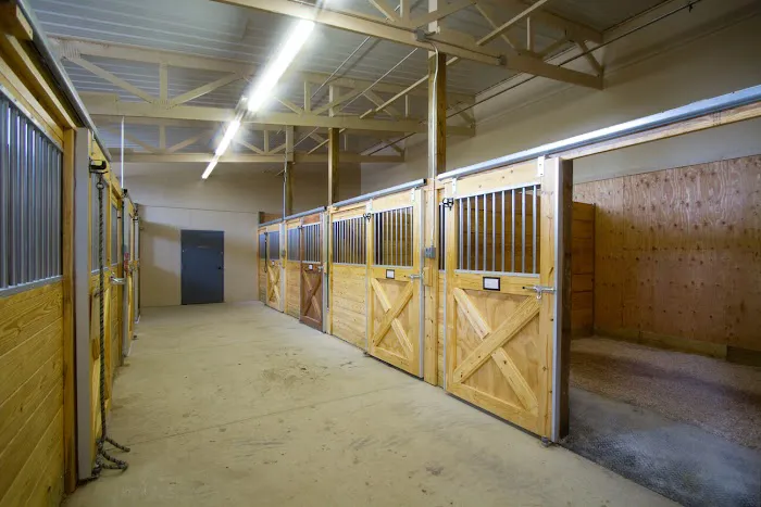 Midwest Veterinary Dental Services 12