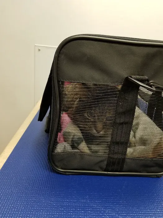 VCA Associates in Pet Care Animal Hospital 2