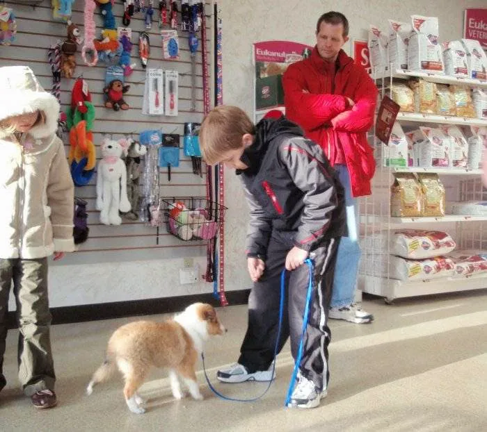 VCA Associates in Pet Care Animal Hospital 8