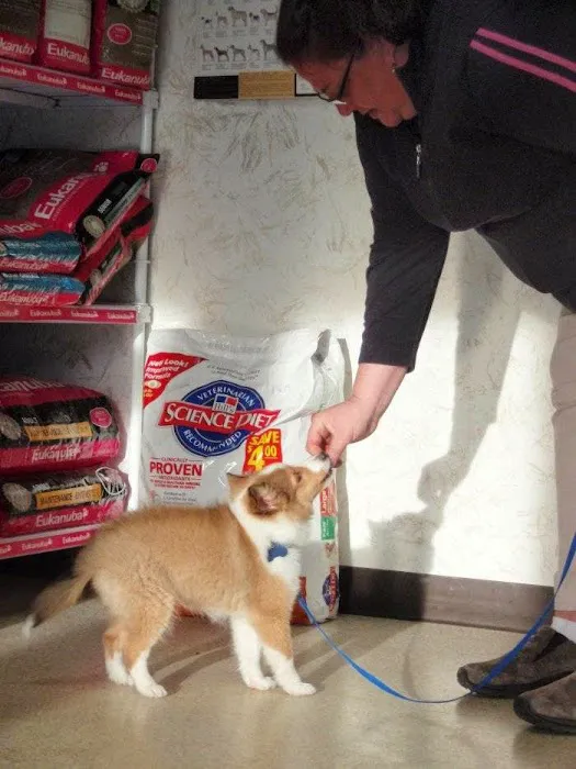 VCA Associates in Pet Care Animal Hospital 7