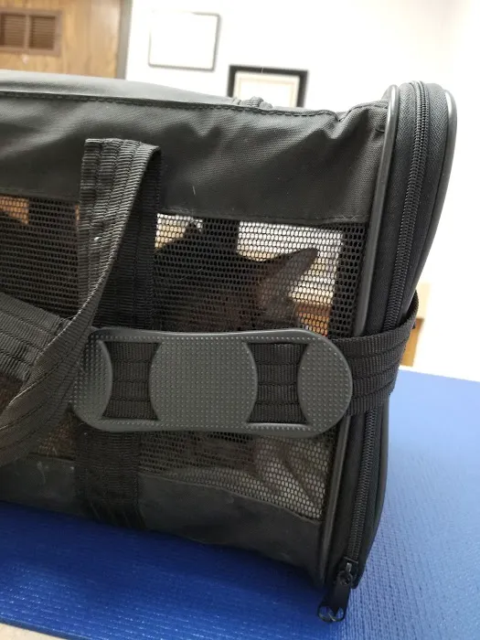 VCA Associates in Pet Care Animal Hospital 4