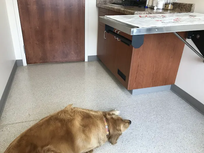 Waukesha Walk-in Vet Clinic 6