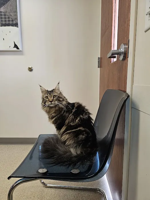 Waukesha Walk-in Vet Clinic 3